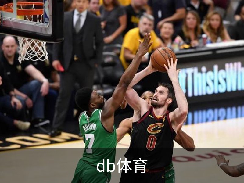 关于db体育